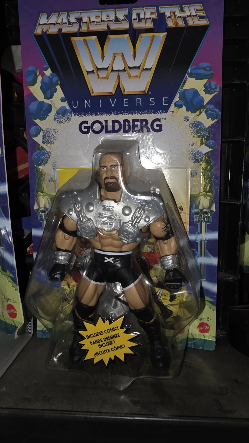 Masters of the Universe WWE Action Figures - photo 2