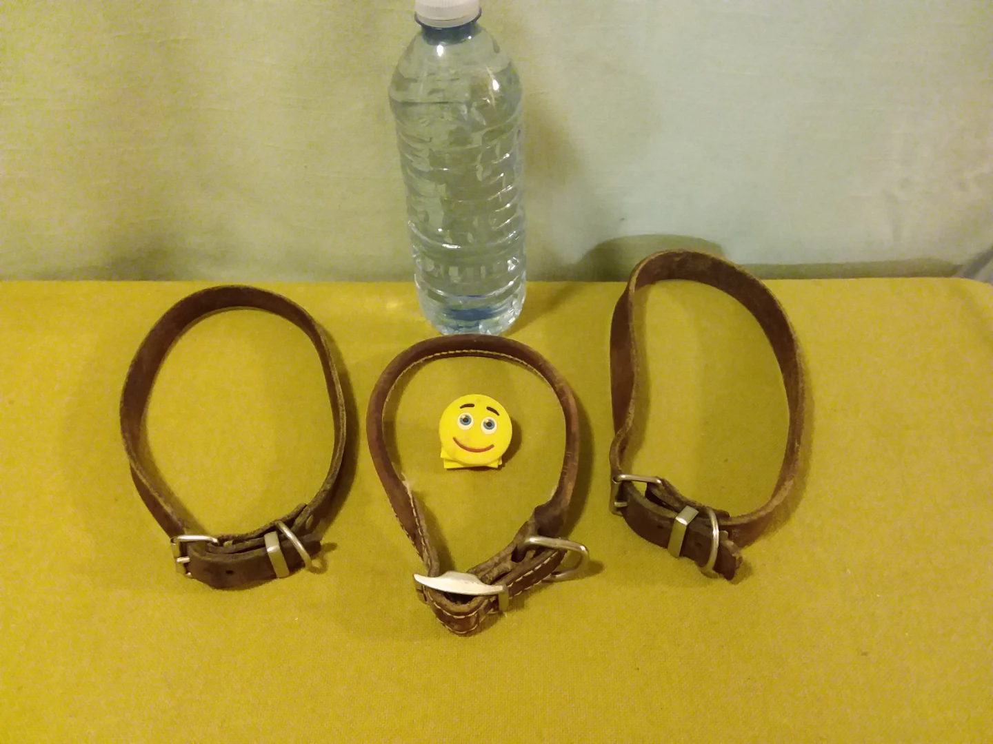 🏈 🐕 ➡️ Leather Dog Collars 🐕 Set of (3)
