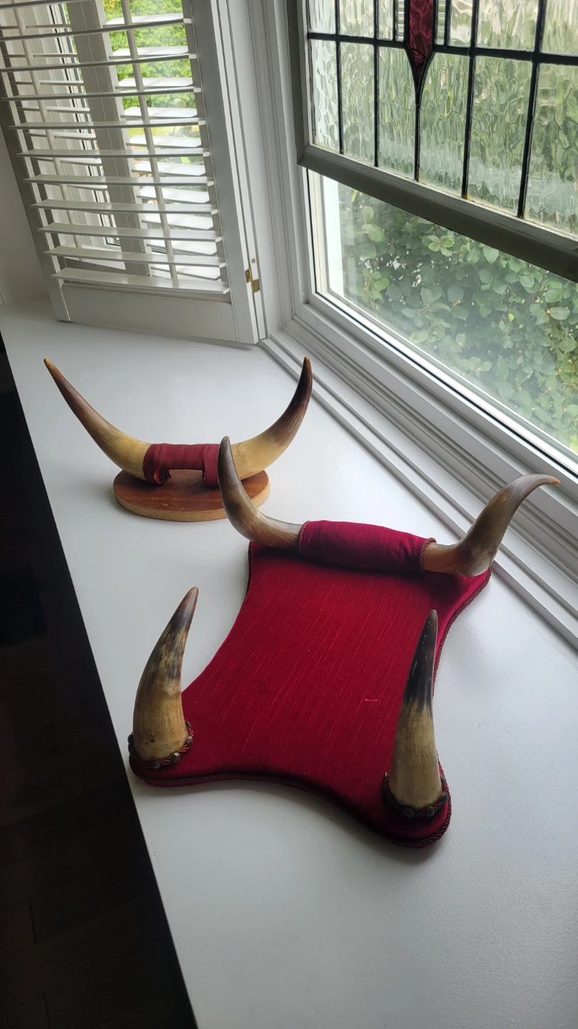 Two Mid Century Bull Horns Mounted Taxidermy