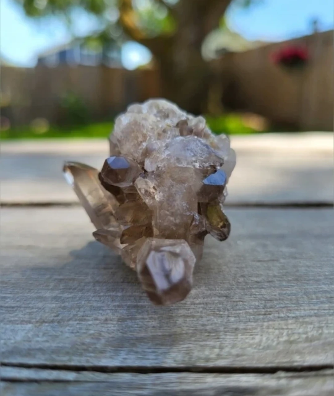 Smoky Quartz Crystal Cluster 🏈 - photo 3