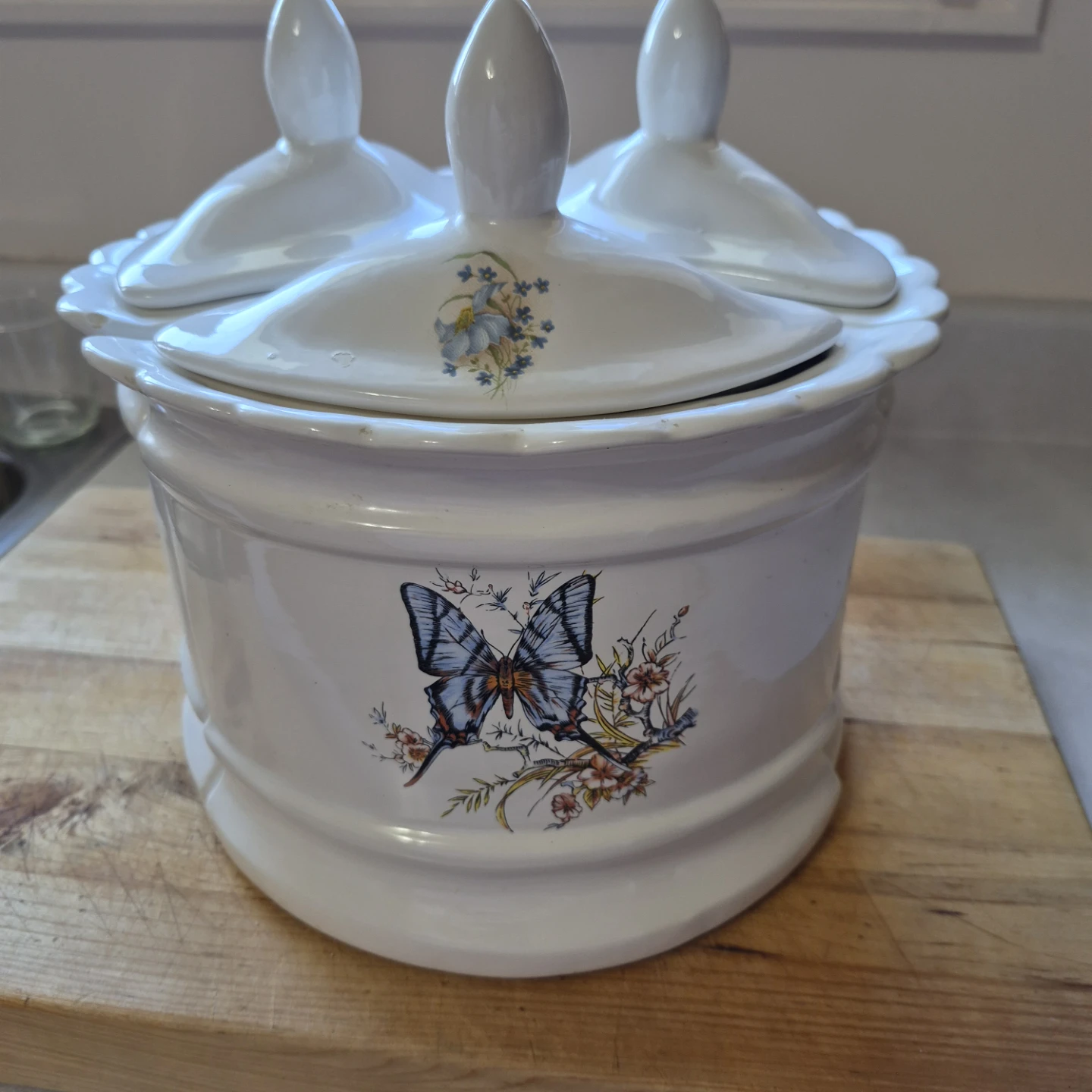 Ceramic Butterfly Canister Set