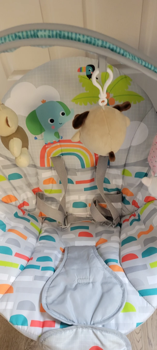 Bright Starts Baby Bouncer Seat - photo 3