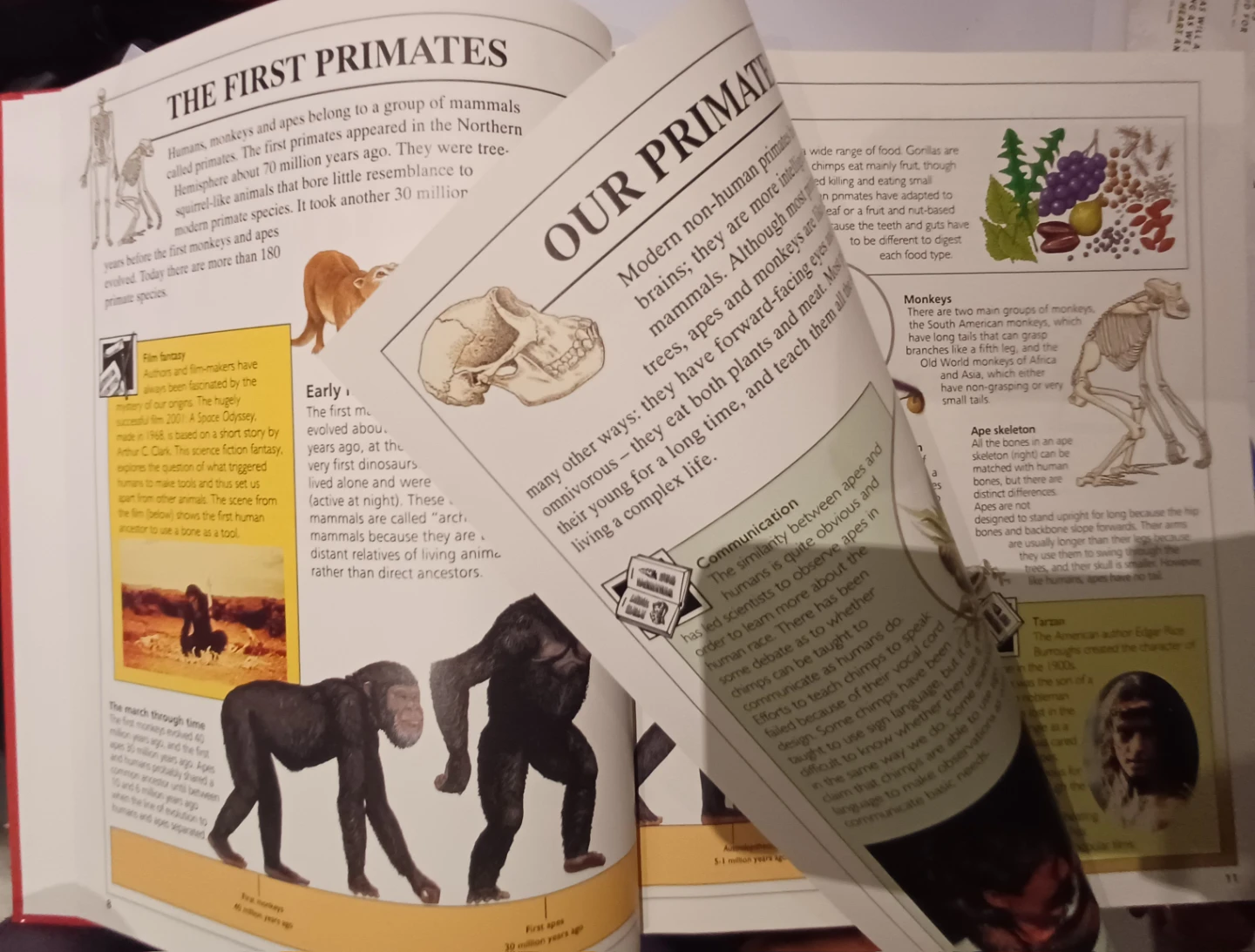 🏈 The Encyclopedia of Early People & Civilisations - photo 5