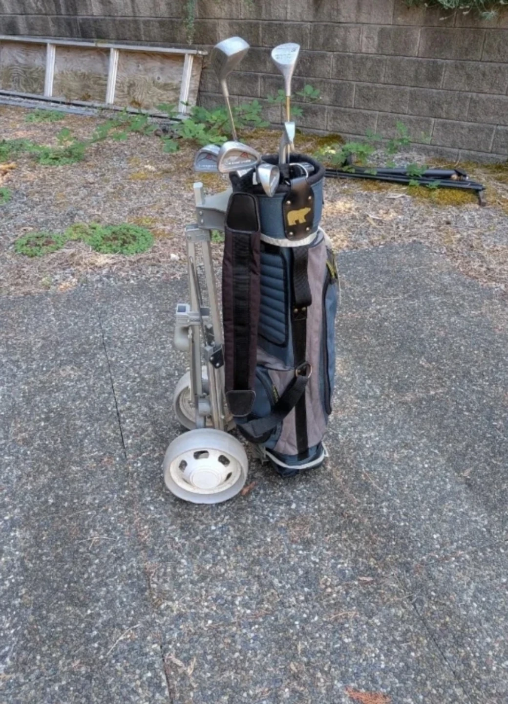 Golf Club Set + Bag & Pull Cart – Great Starter/Second Set - photo 5