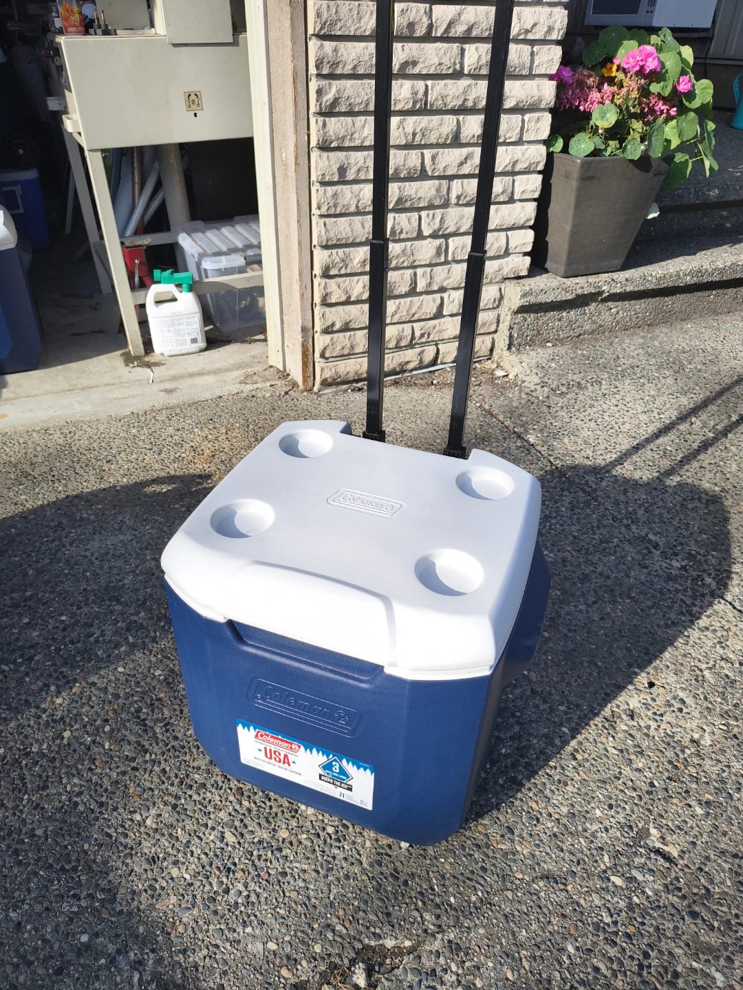 Coleman 45 qt Wheeled Cooler with Drain
