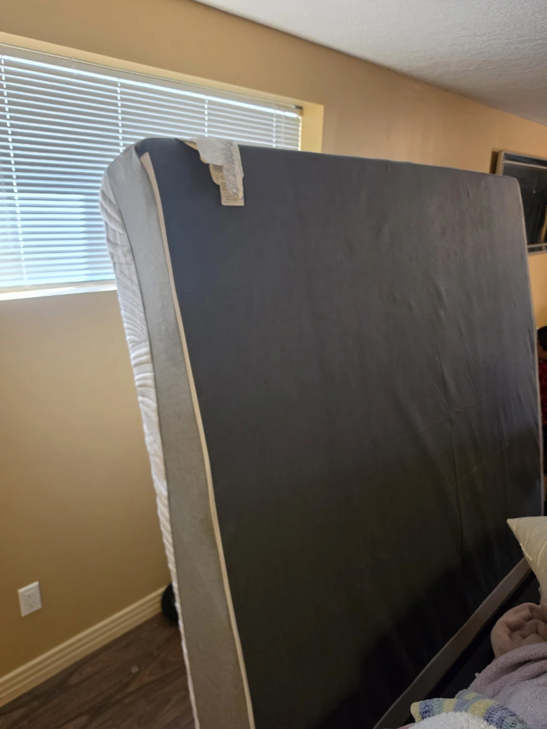 King size memory bed free