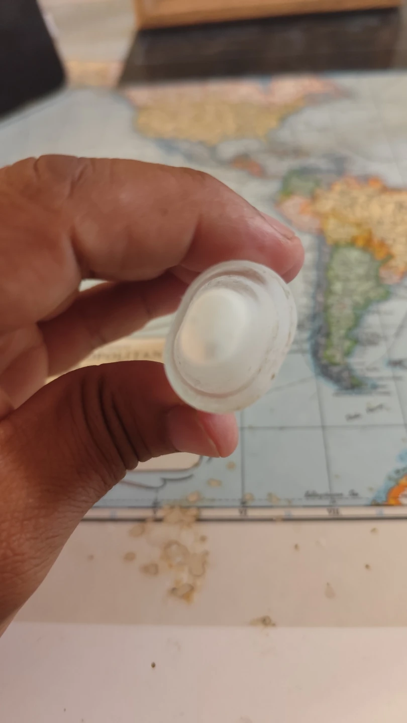 White plastic travel toothbrush case - photo 2