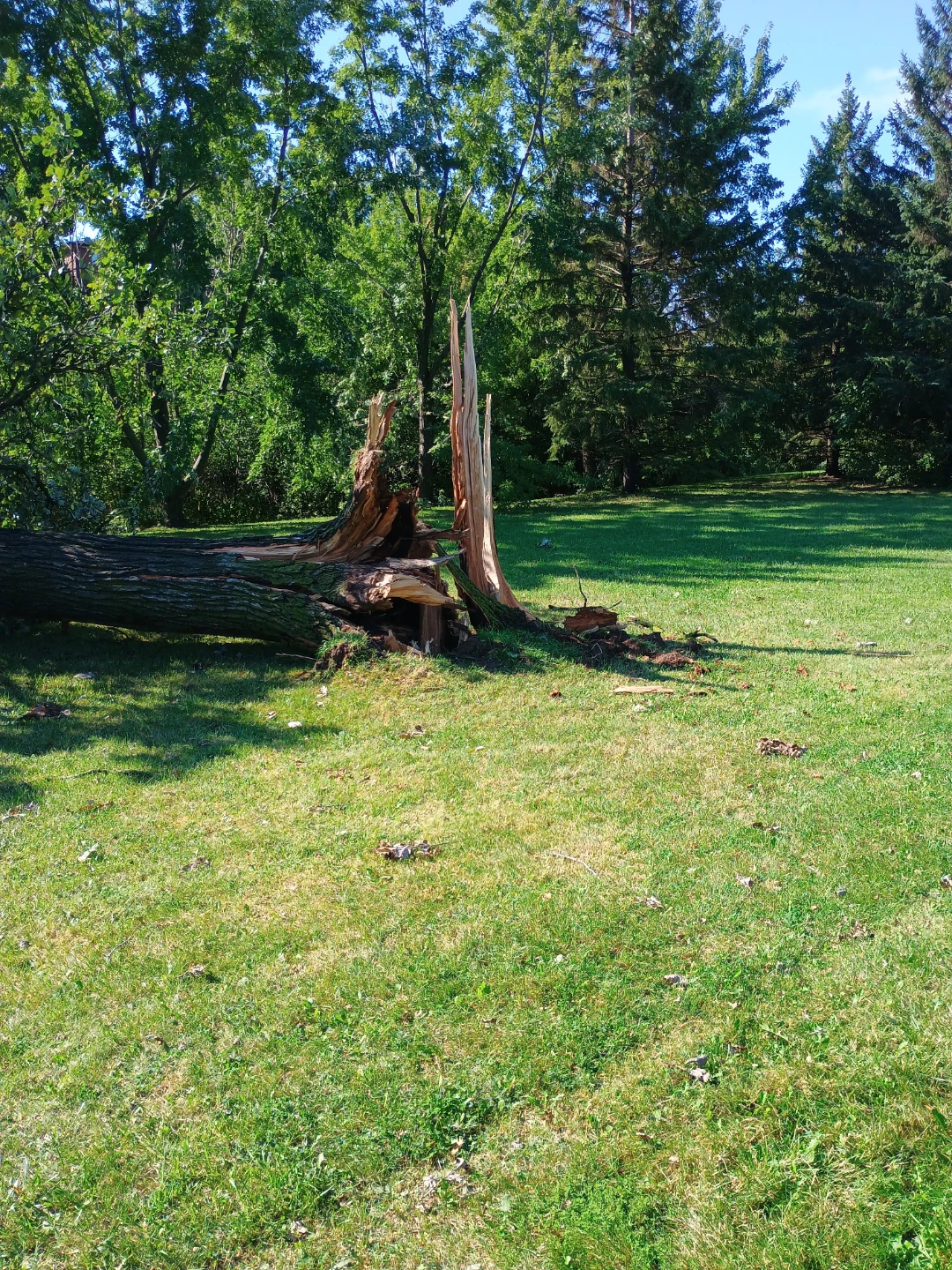 Post storm cleanup help