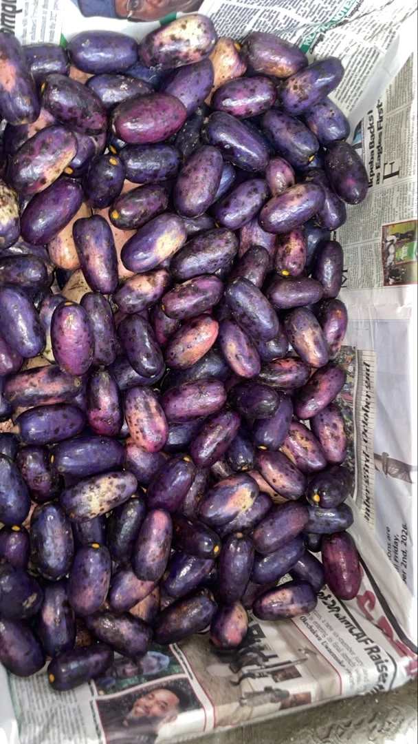 Fresh African Bush Pear (Ube)