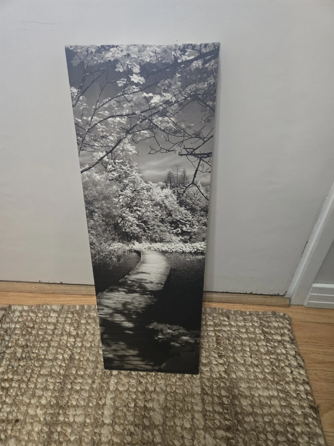 Black and White Nature Canvas Print