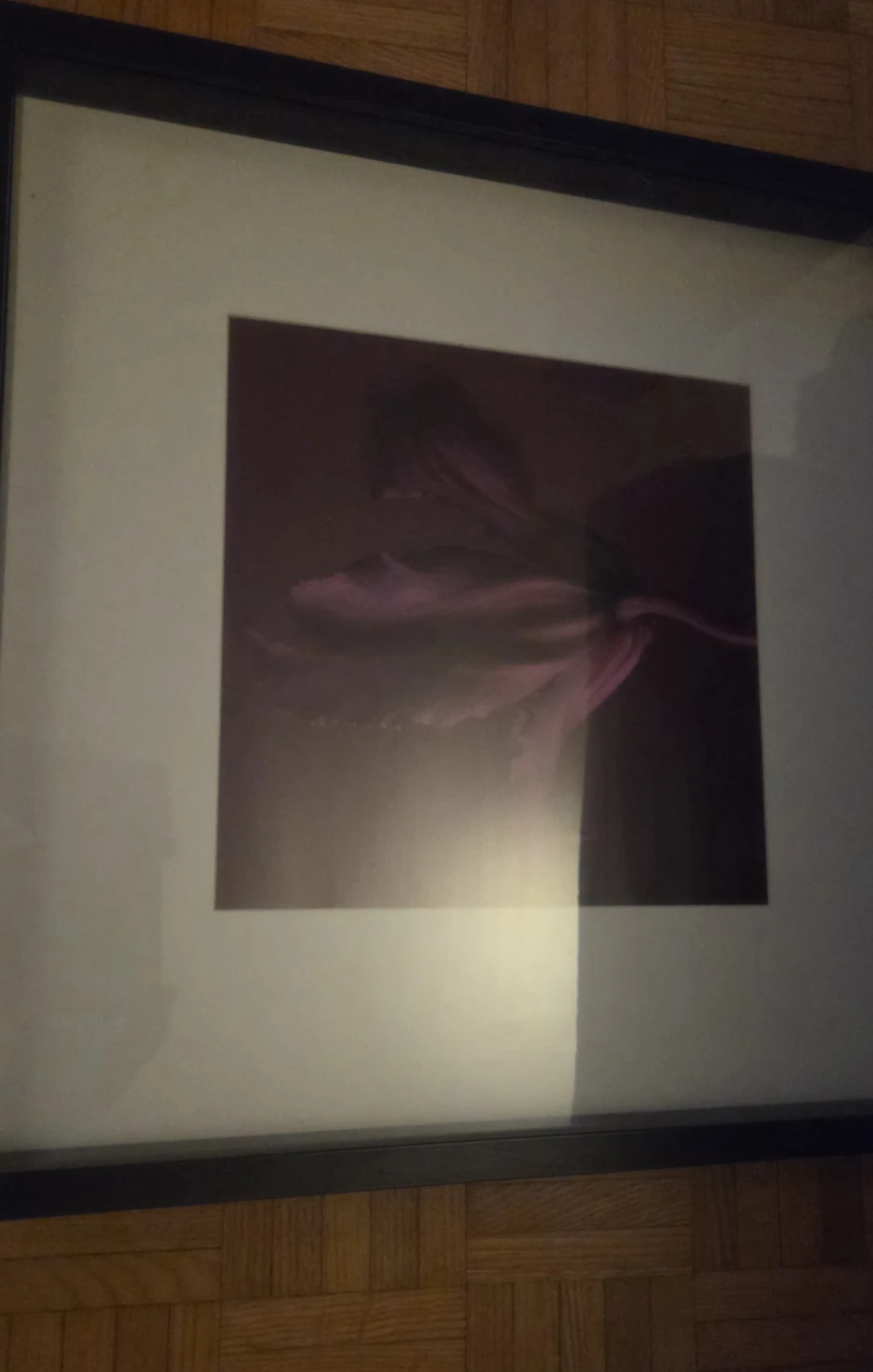 Set of 3 IKEA Ribba Framed Floral Prints - photo 2