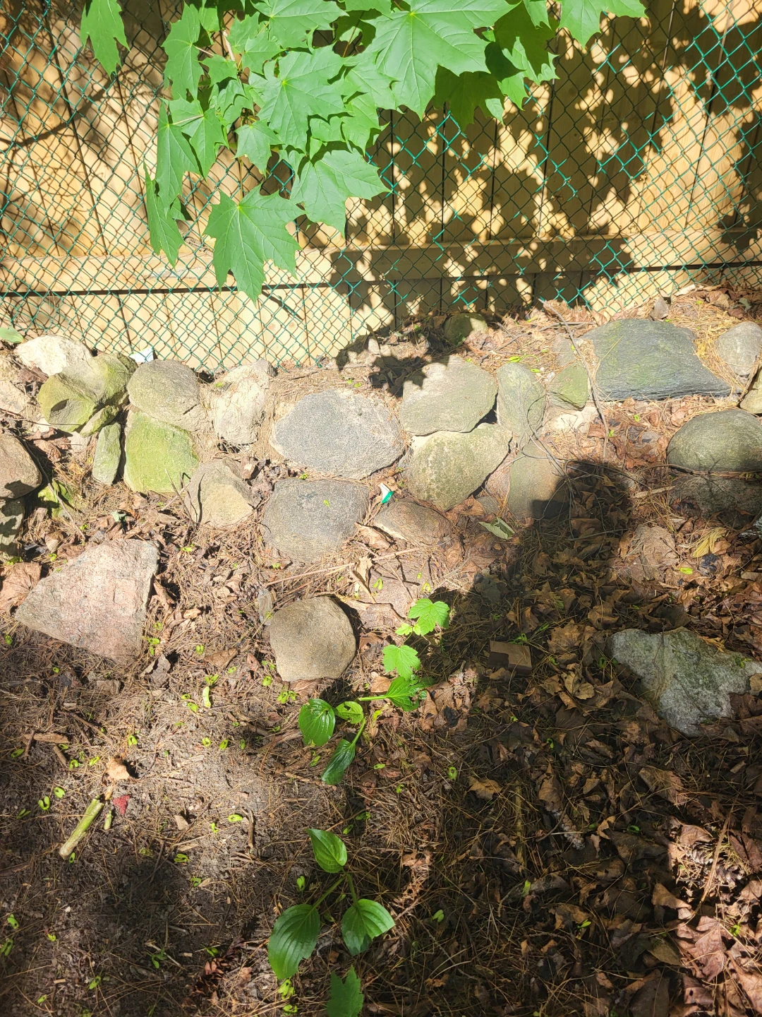 Assorted Garden Rocks - photo 4