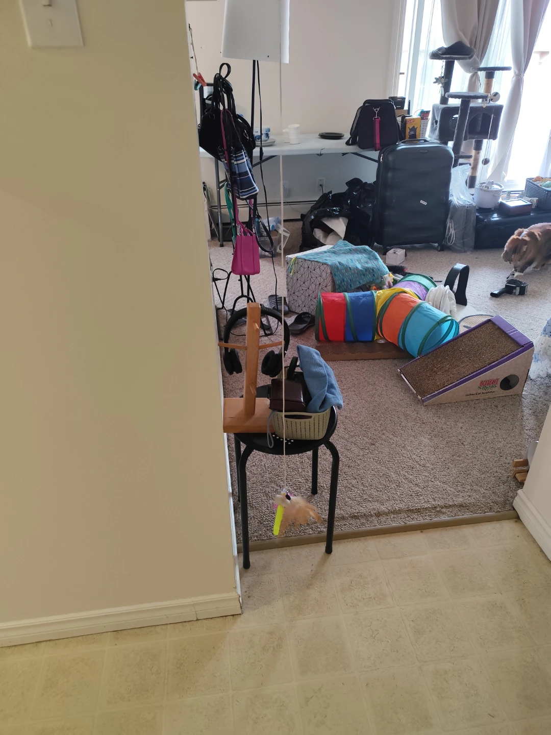 cat tree+ Assorted Cat Supplies and Toys - photo 4