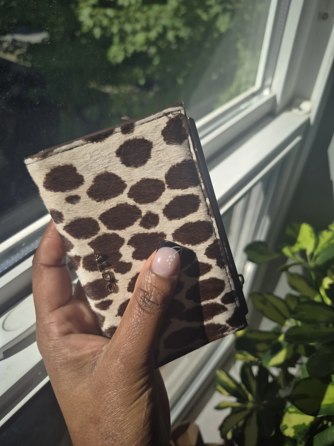 ALDO Cowhide Wallet