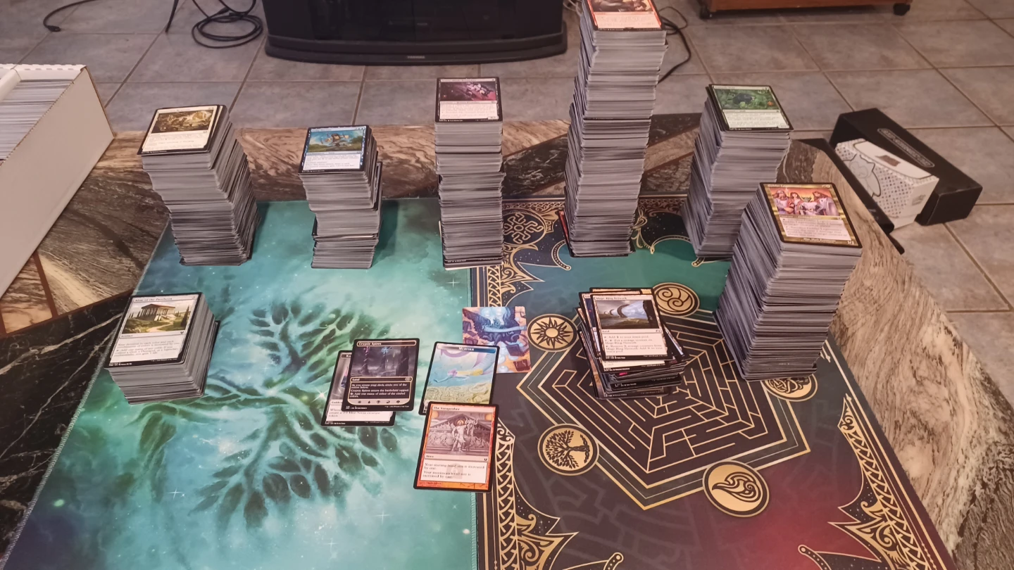 I'll sort and document your MTG
