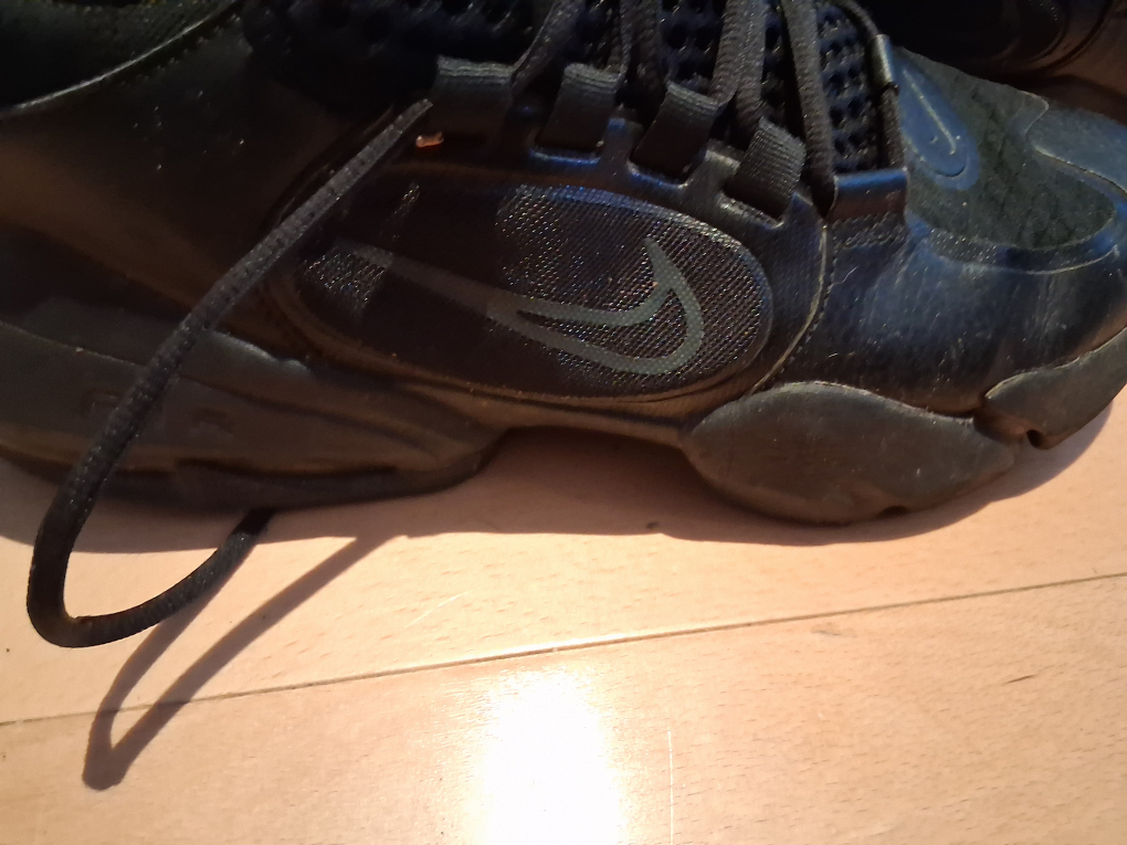 Nike Air Max sneakers in black