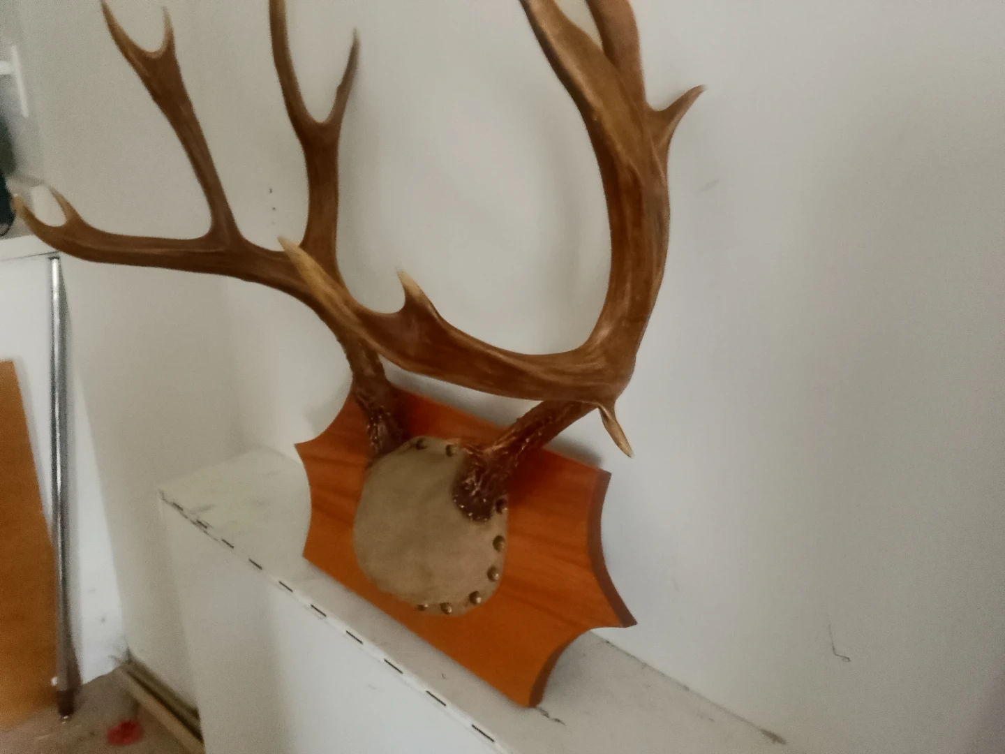 Wall-mounted decorative deer antler plaque - photo 3