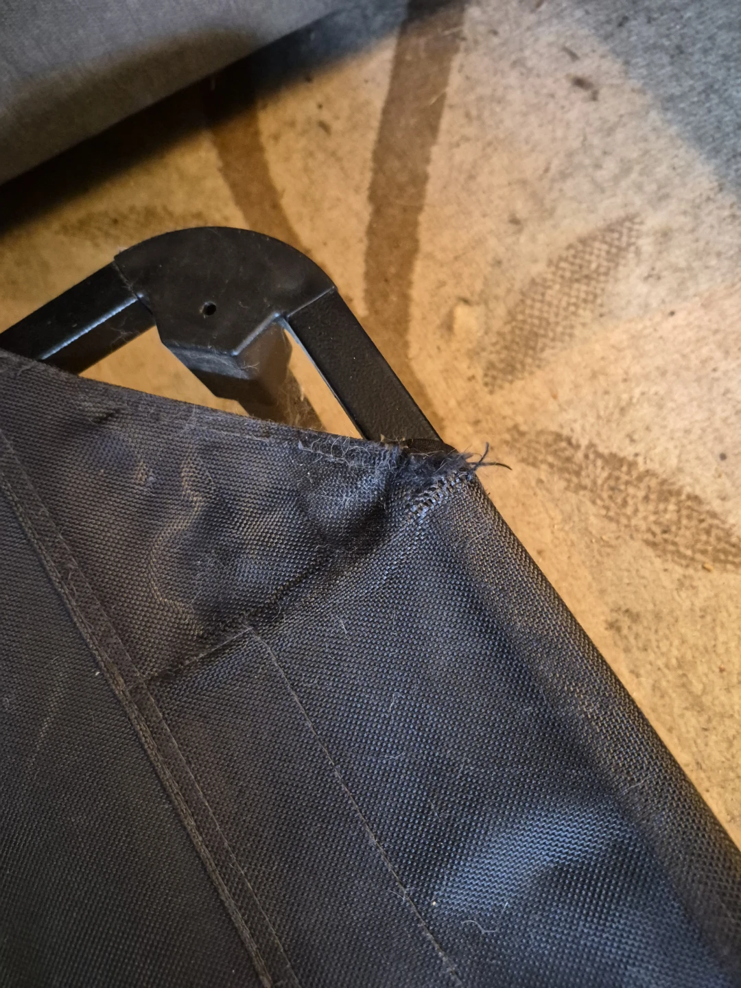 Raised Dog Bed - photo 4