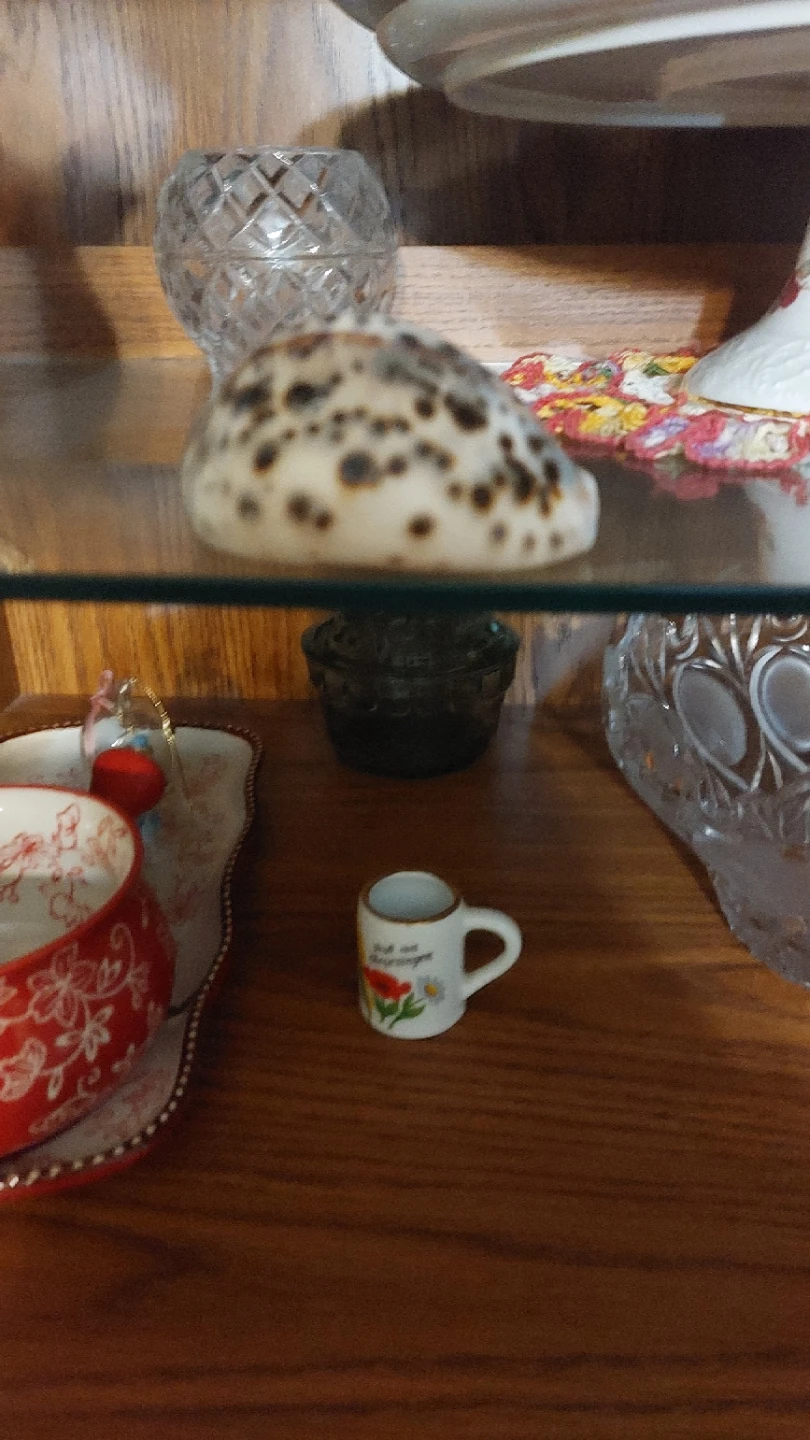 Decorative Seashells and conch shells - photo 5