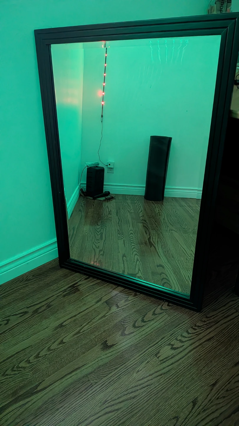 Large Black Framed Wall Mirror