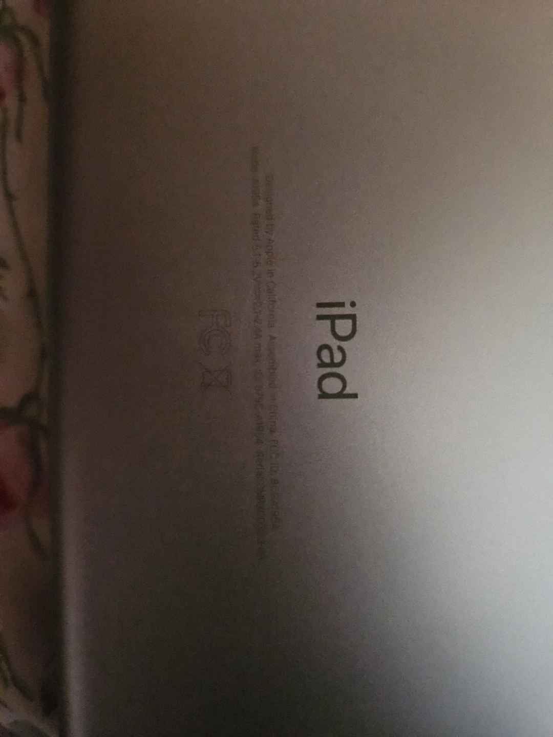 Apple iPad Silver - photo 3