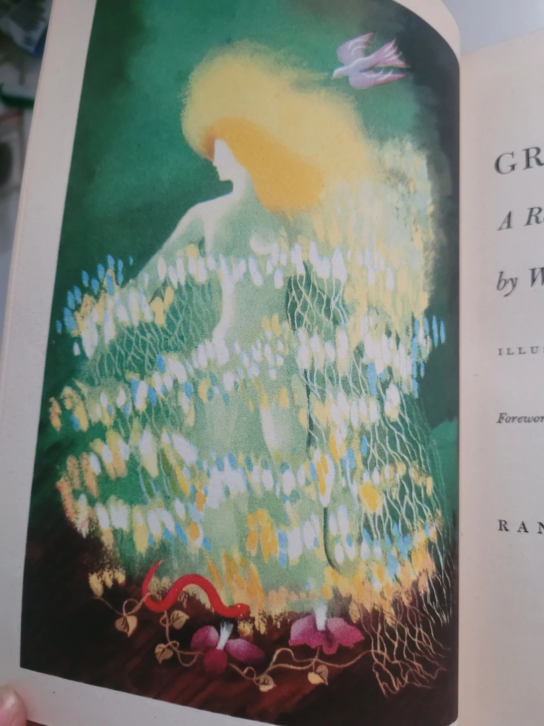 Green Mansions by W.H. Hudson Illustrated by E. McKnight Kauffer - photo 3