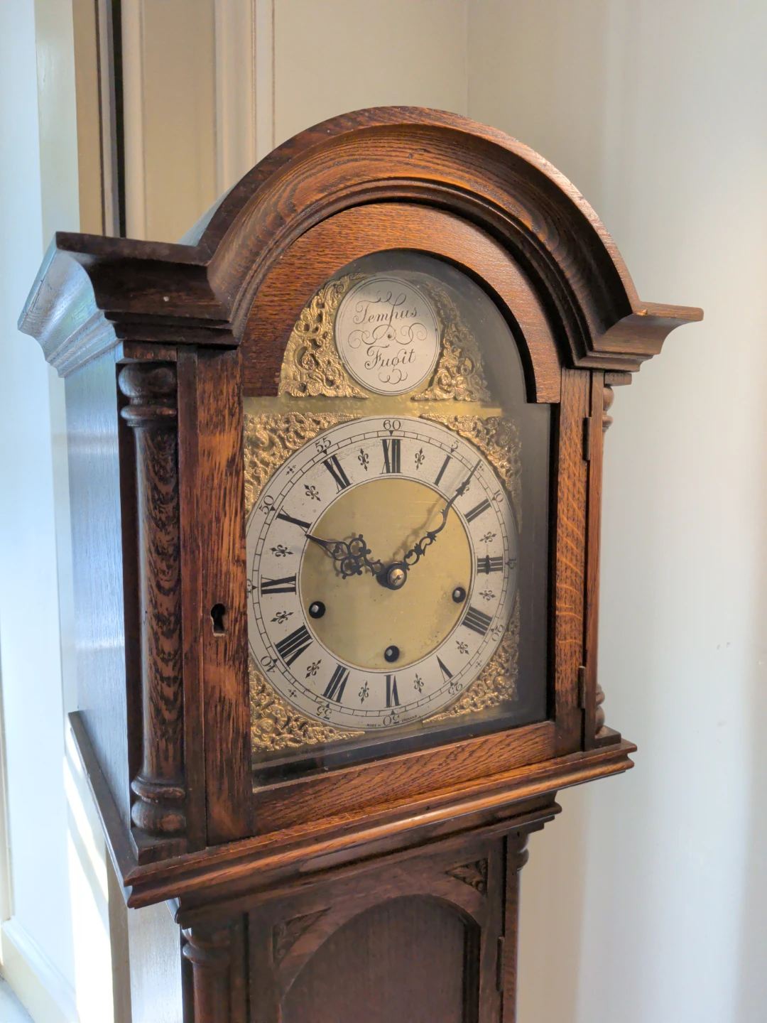 Vintage Tempus Fugit Grandfather Clock - photo 2