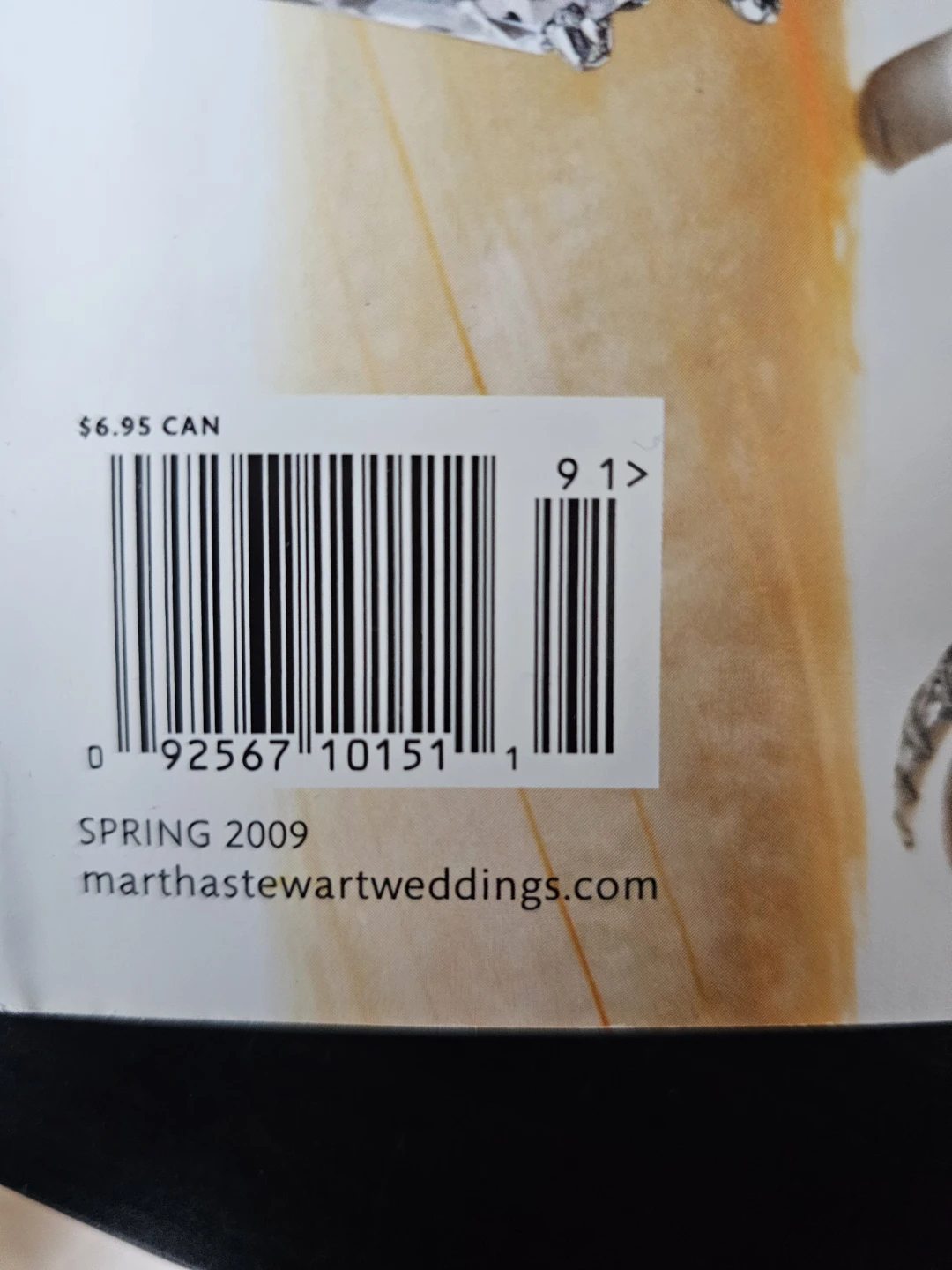 Martha Stewart Weddings Mag Winter 2012 - photo 5