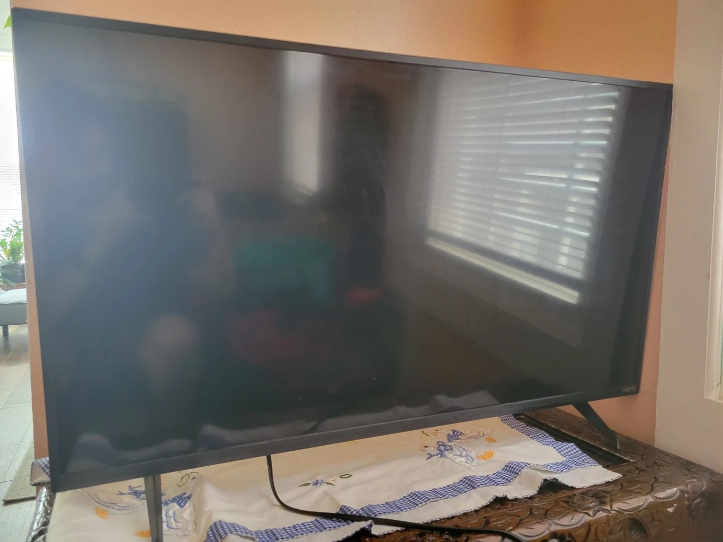 Vizio 40-inch Smart TV