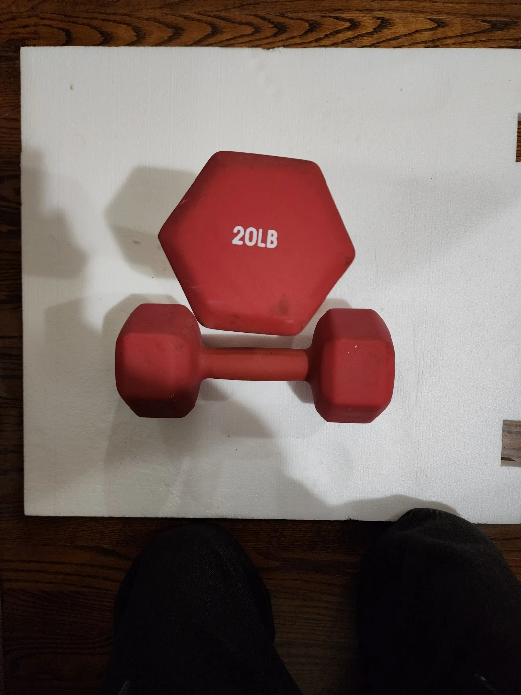 20LB Dumbbell Set
