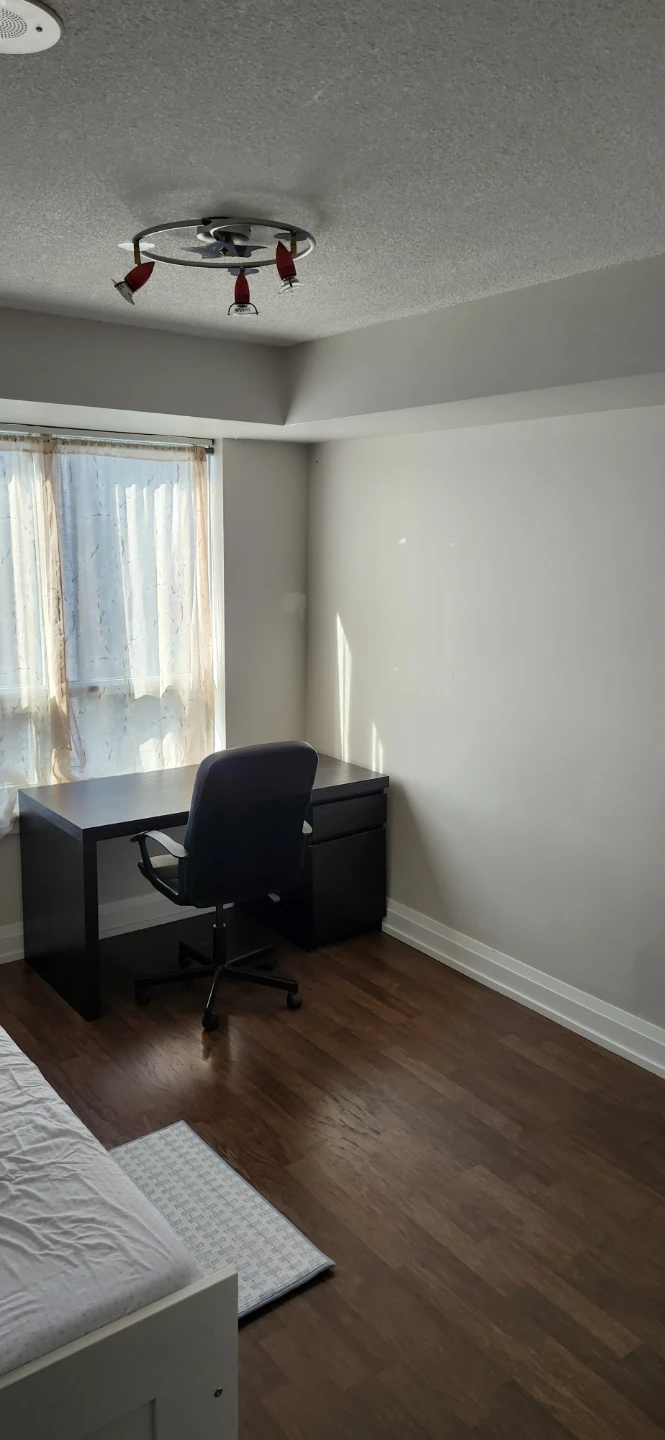 Looking for a Female roommate - photo 2