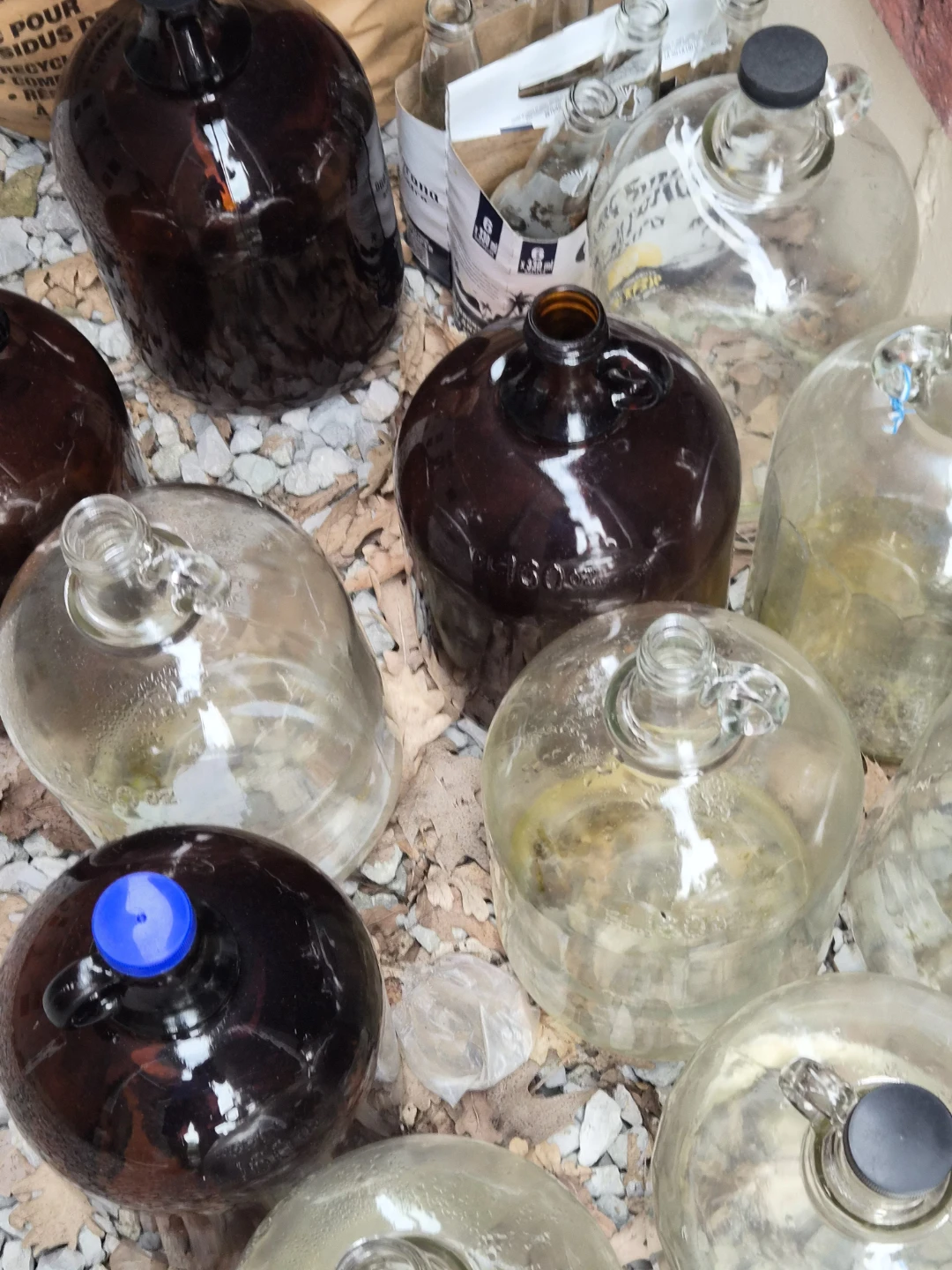 ss Wine Carboys (Damigiane) & 1-Gallon Glass Jugs - photo 2