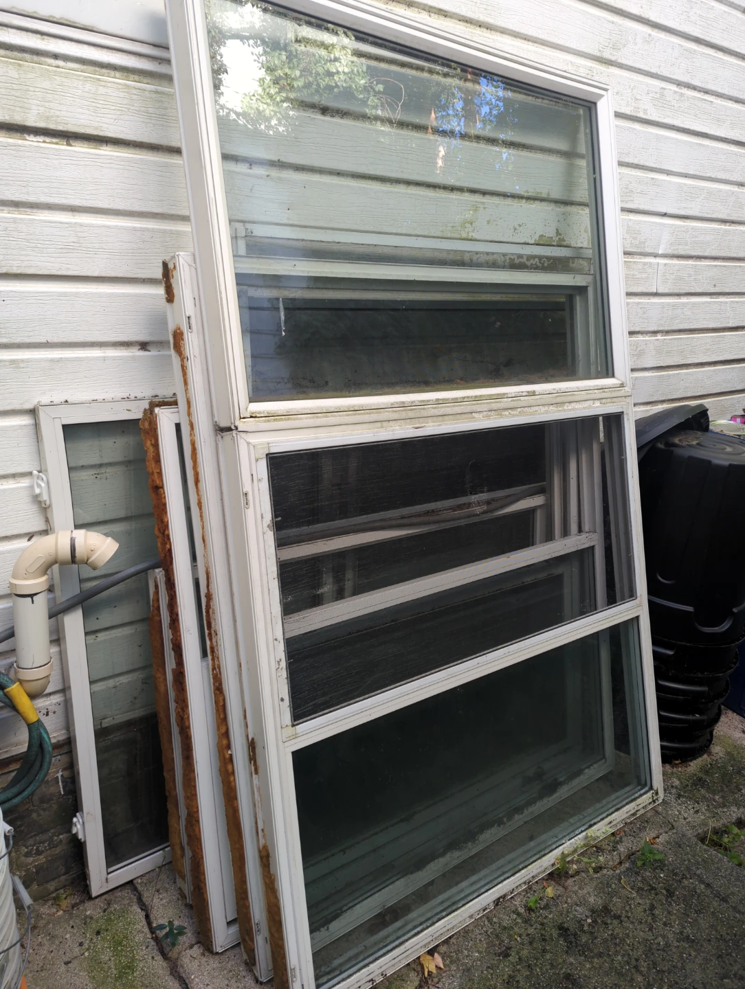 Anyone want some windows
