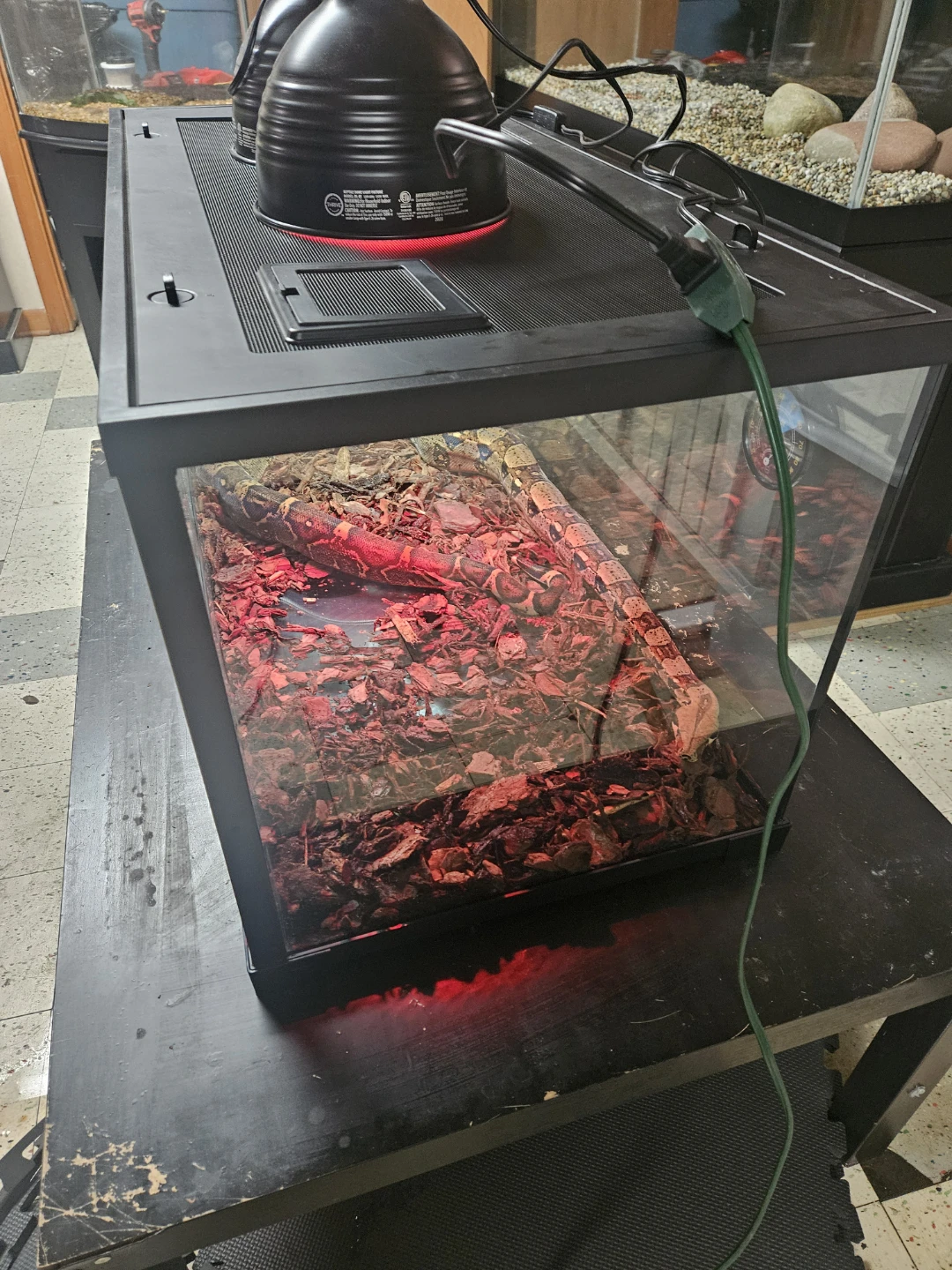 Thrive Glass Reptile Tank with Heating Lamps - photo 4