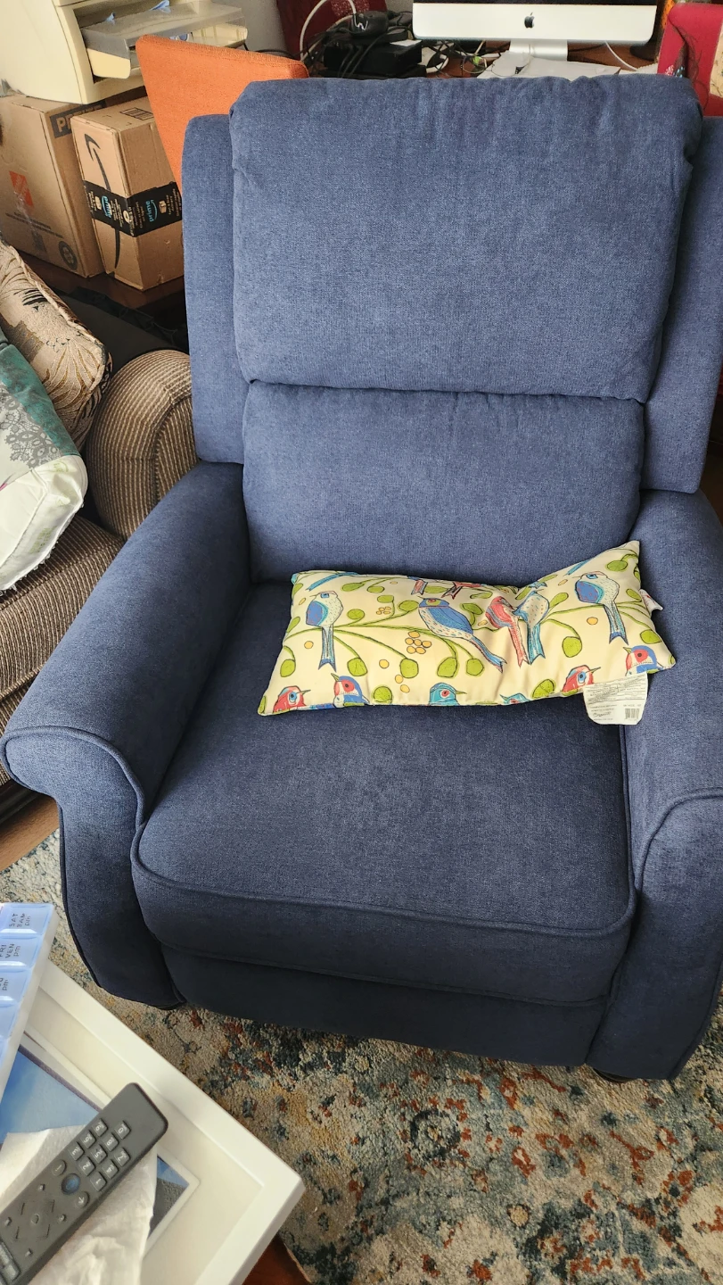 Blue Recliner Chair - photo 2