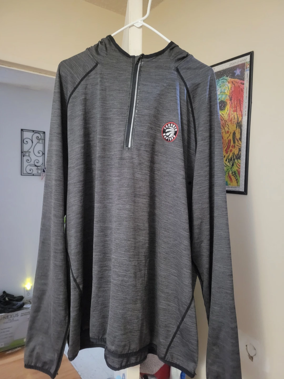 Toronto Raptors Men's Half-Zip Hoodie