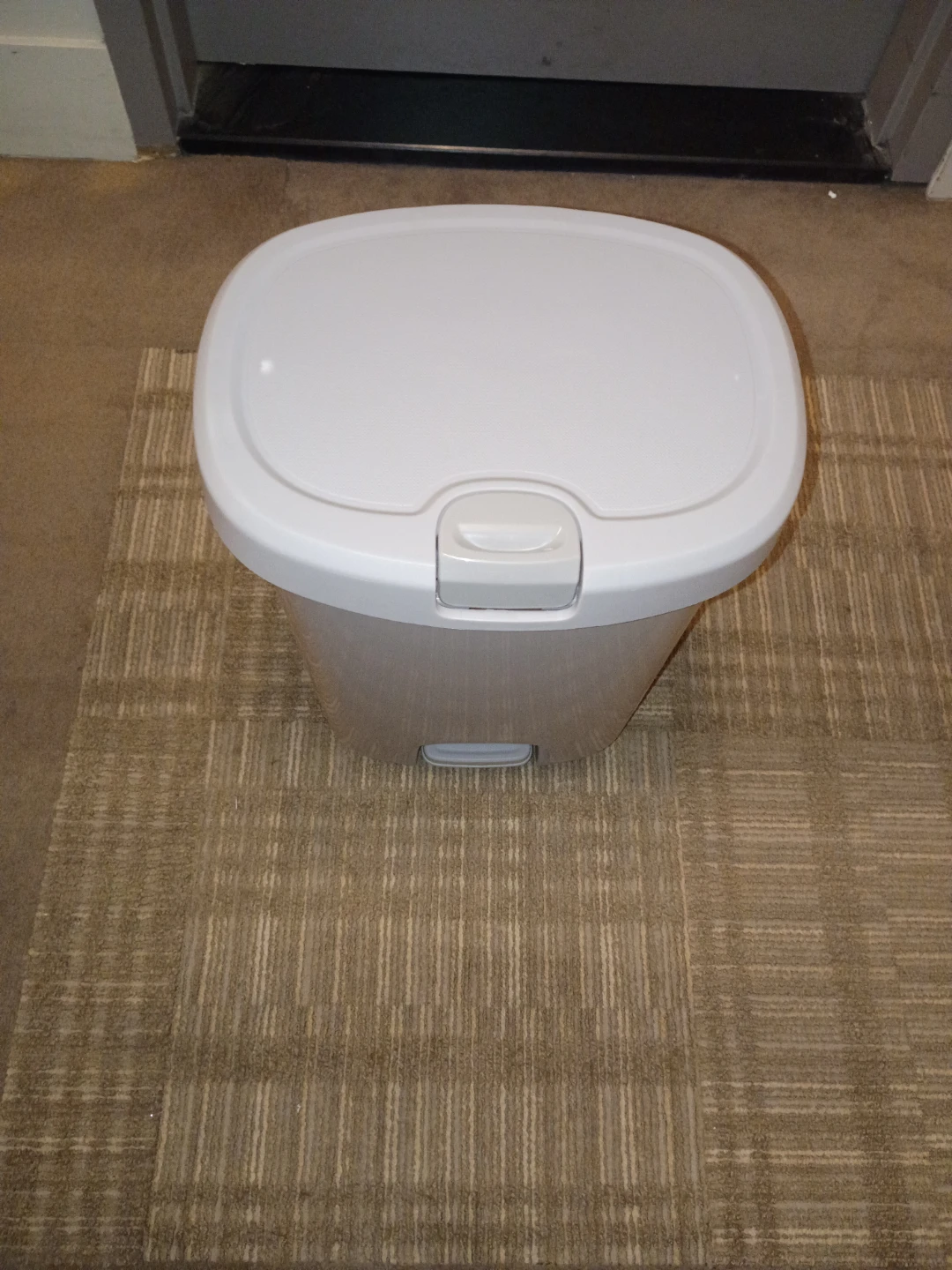 White Foot-Pedal Trash Can 🏈