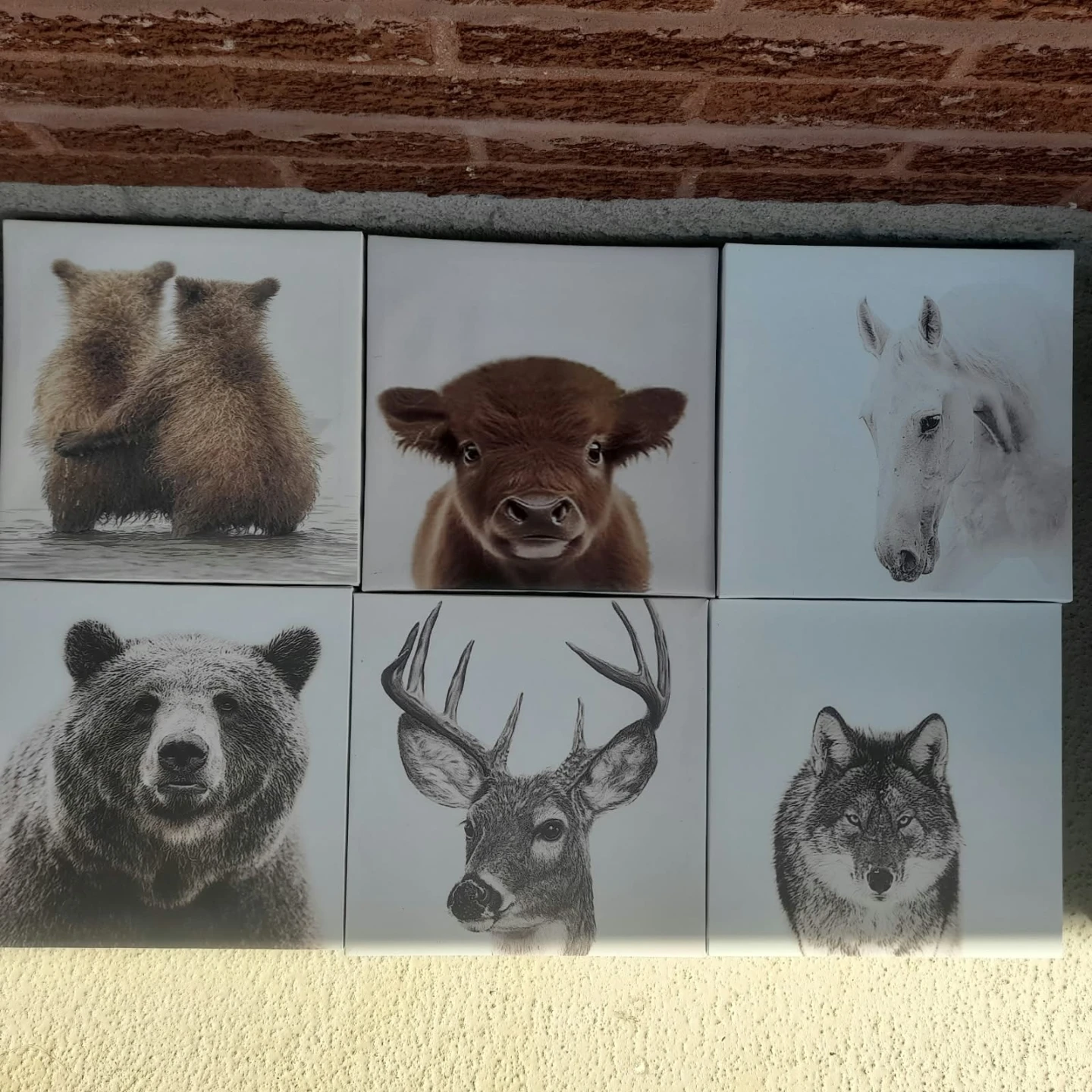 Set of 6 Animal Canvas Wall Art Prints 🏈