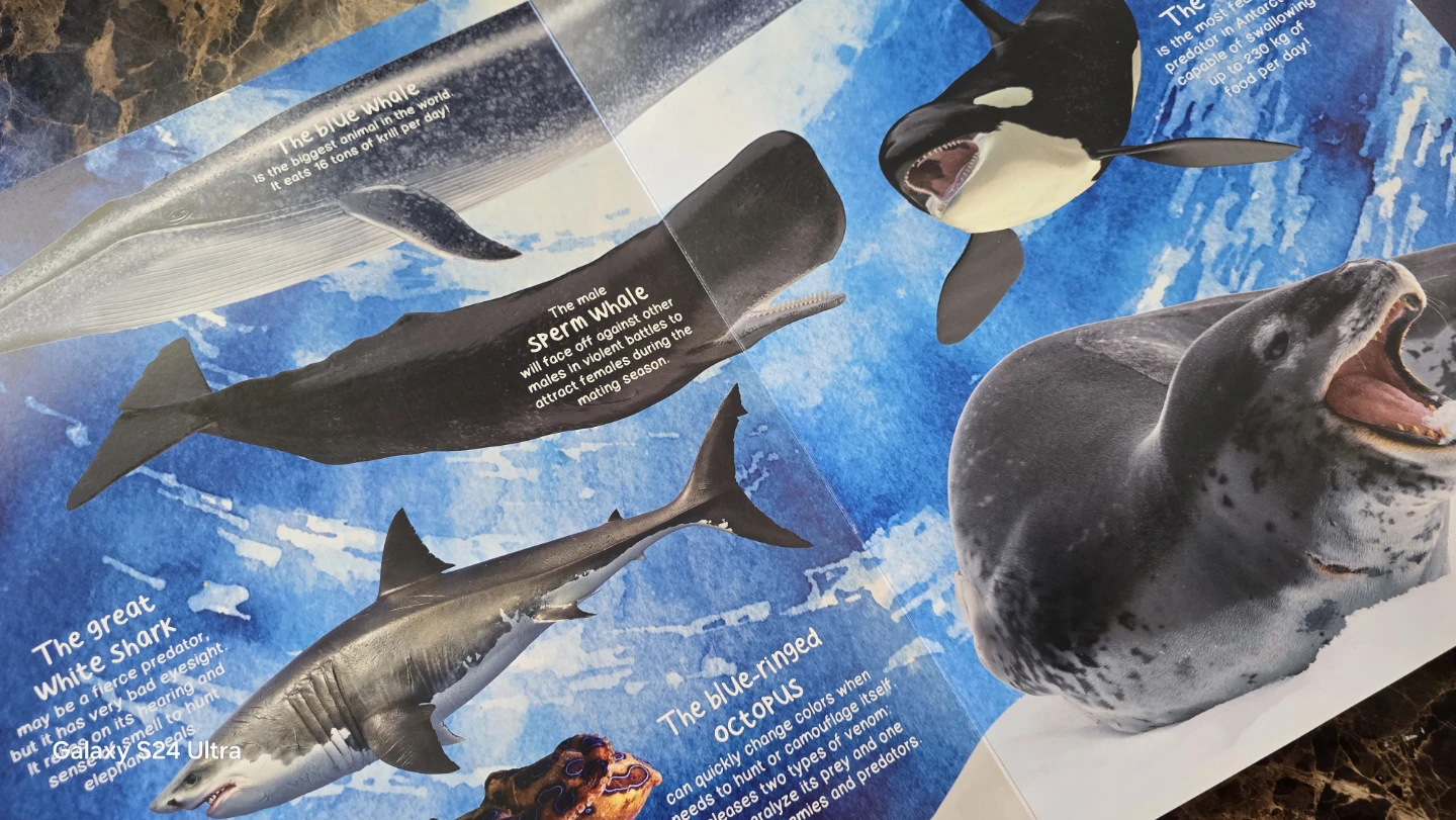 My Giant Animal Book Children's Book - photo 5