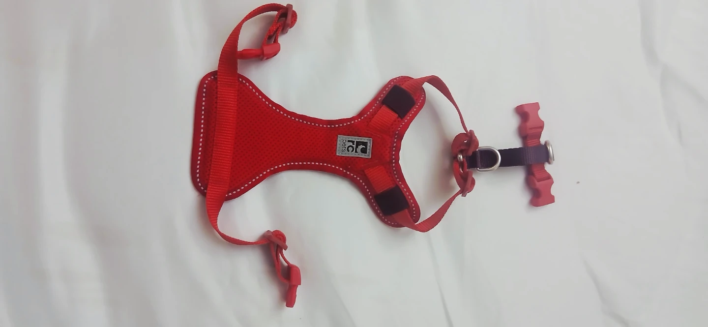 RC Pets Red Dog Harness