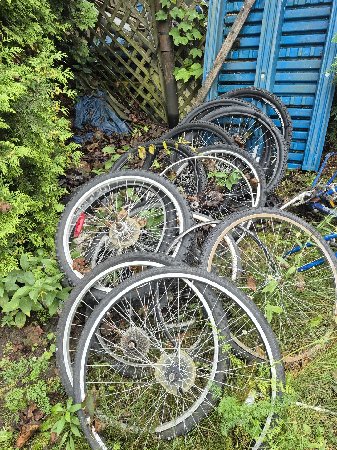 Assorted Bicycle Wheels and Frames - photo 2