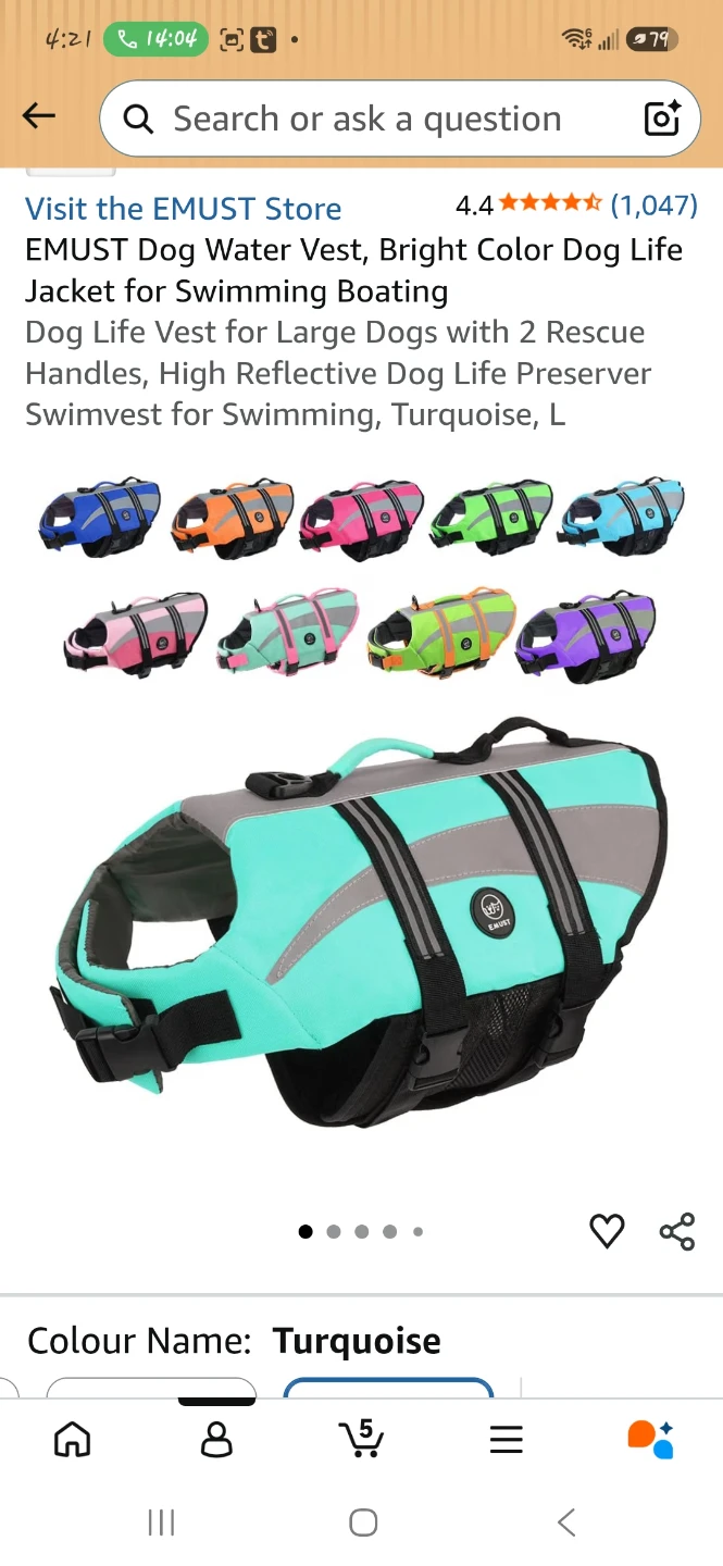 Turquoise Dog Life Vest -Large