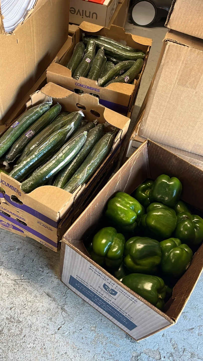 Fresh Green Bell Peppers from Collins Farm
