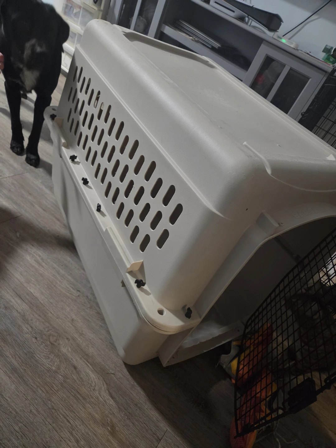 Large Plastic Pet Travel Crate - photo 3