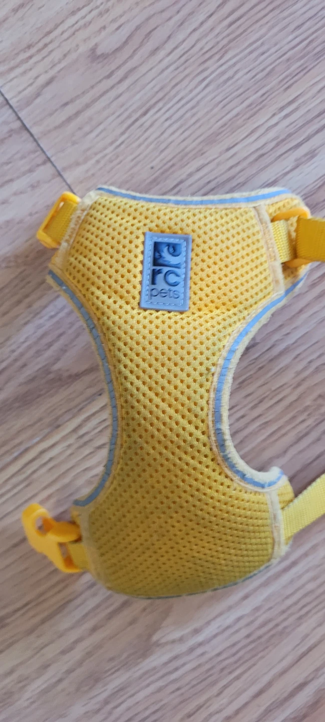 NEED RC pets kitty adventure  harness in large Marigold