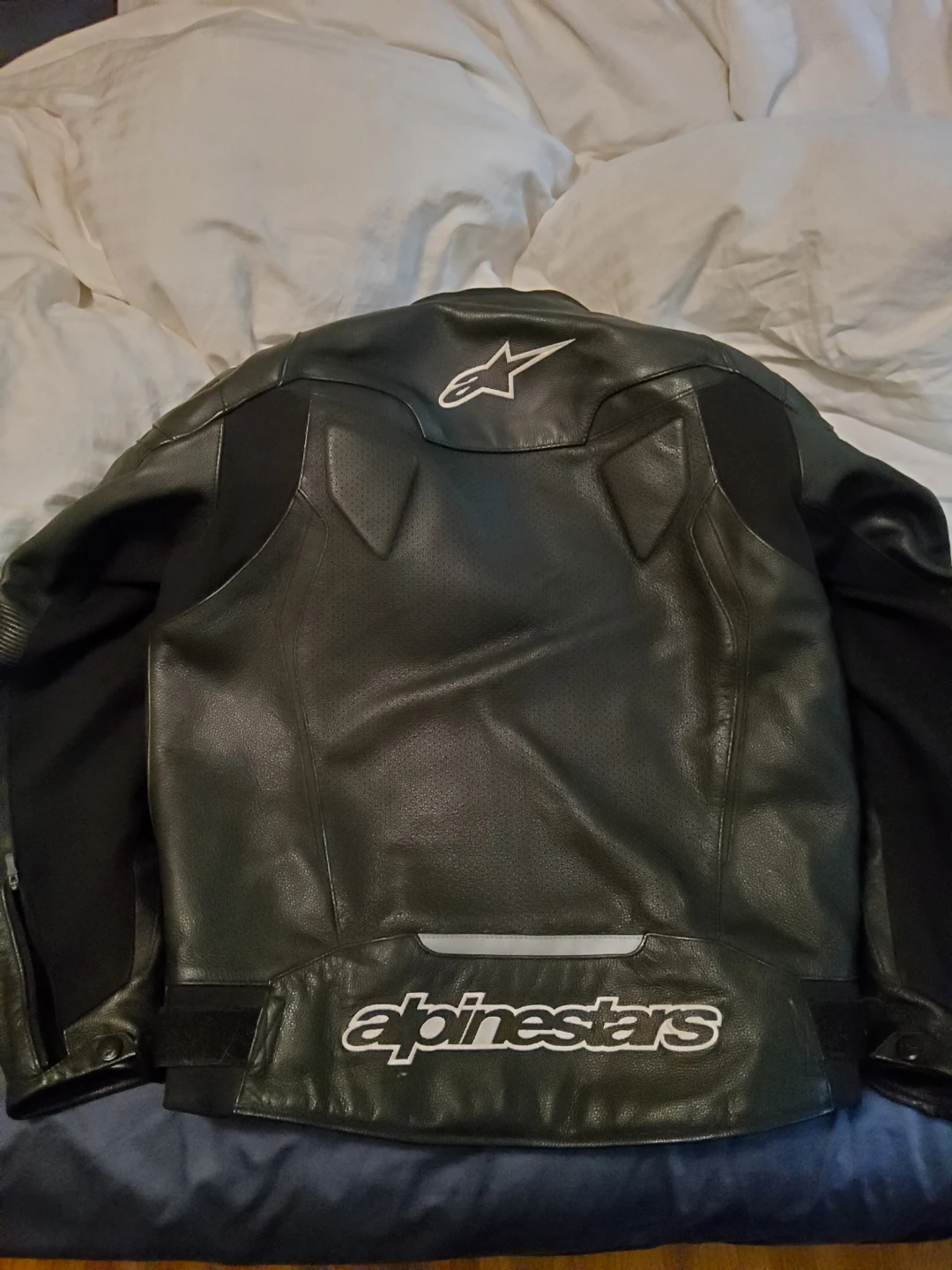 Alpinestars GP Plus R v2 Airflow Leather Jacket - photo 4