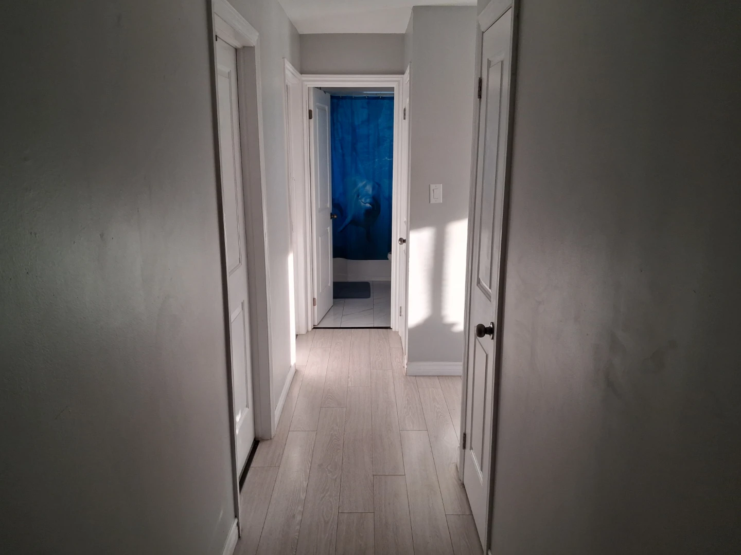 Room for rent 195 Owen St. Apt B. Barrie, Ontario - photo 4