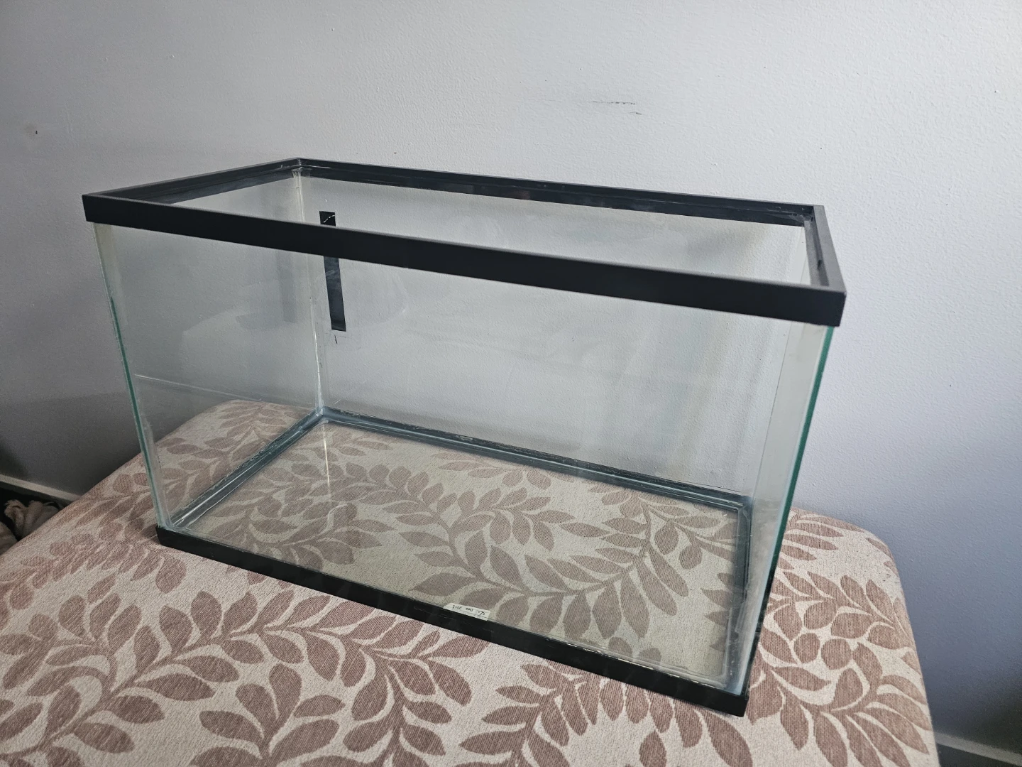 10 Gallon Glass Aquarium Tank