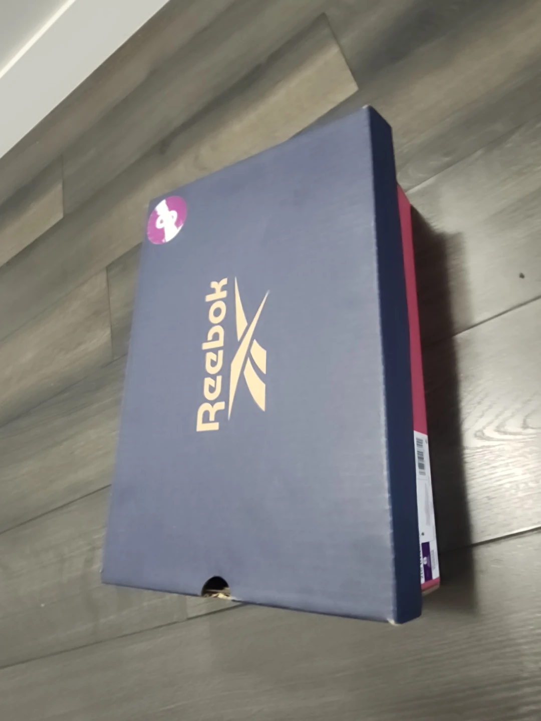 Reebok Pulsion Sneakers