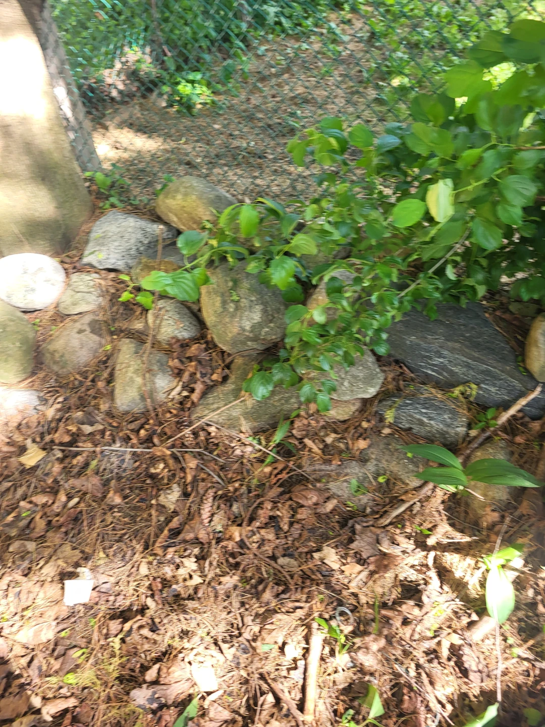 Assorted Garden Rocks - photo 3